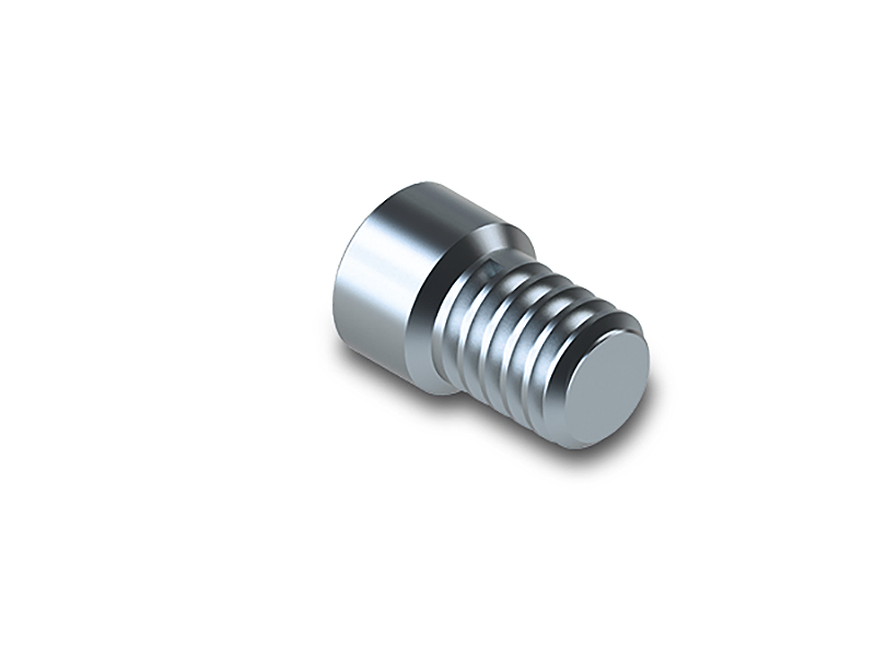 [ZFX09002187] VARIO SR® - Vis standard - Camlog